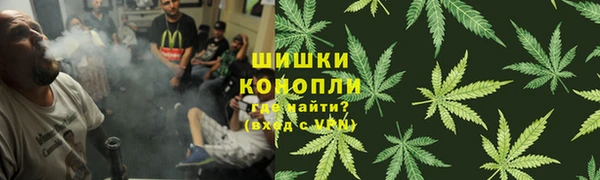 прущие грибы Белоозёрский