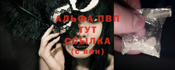 гидра Сясьстрой