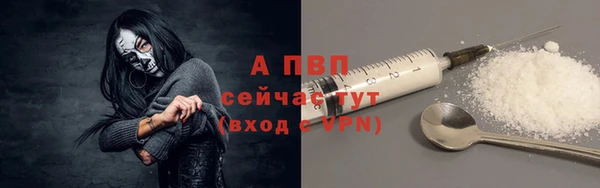 прущие грибы Белоозёрский
