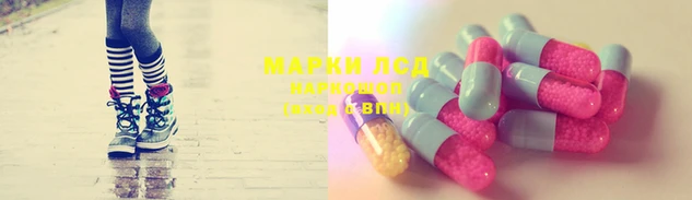 МДПВ Тайга