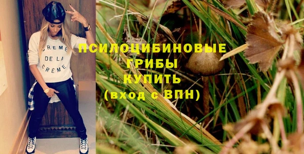 не бодяженный Белокуриха