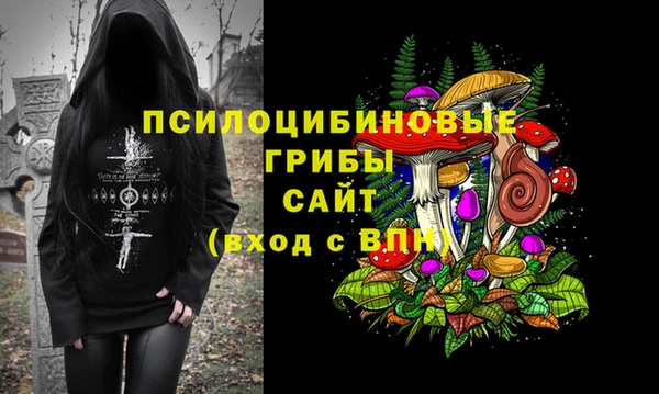 дурь Тавда