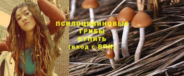 стаф Беломорск