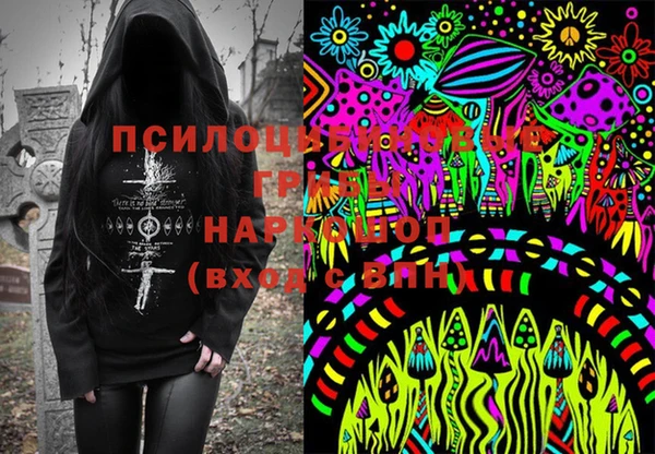 не бодяженный Белокуриха