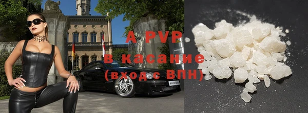 стаф Беломорск