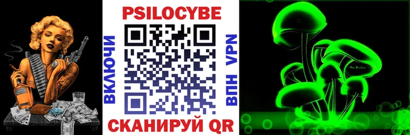 маркетплейс Telegram  где можно купить наркотик  MEGA рабочий сайт  Кодинск  Псилоцибиновые грибы Cubensis 